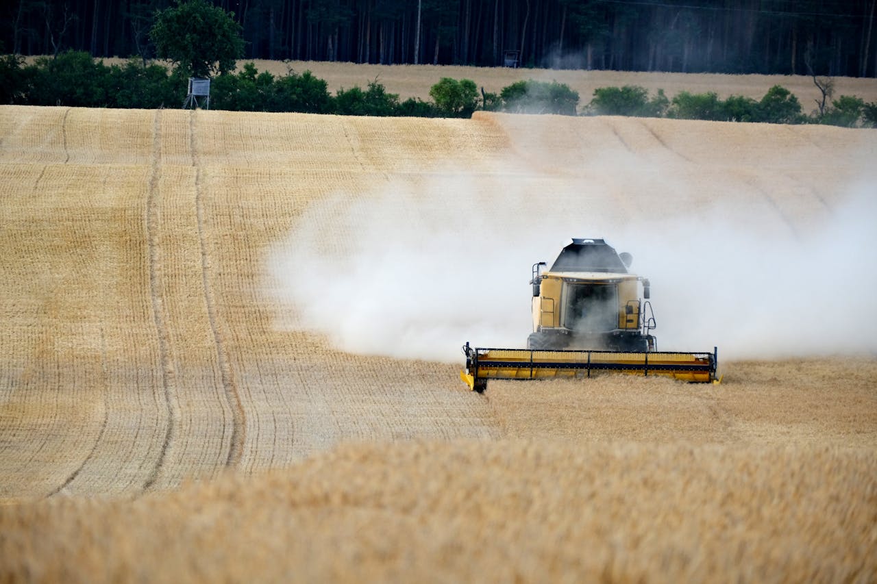 hero-img-02 A combine harvester working in a vast wheat field, raising dust as it moves.